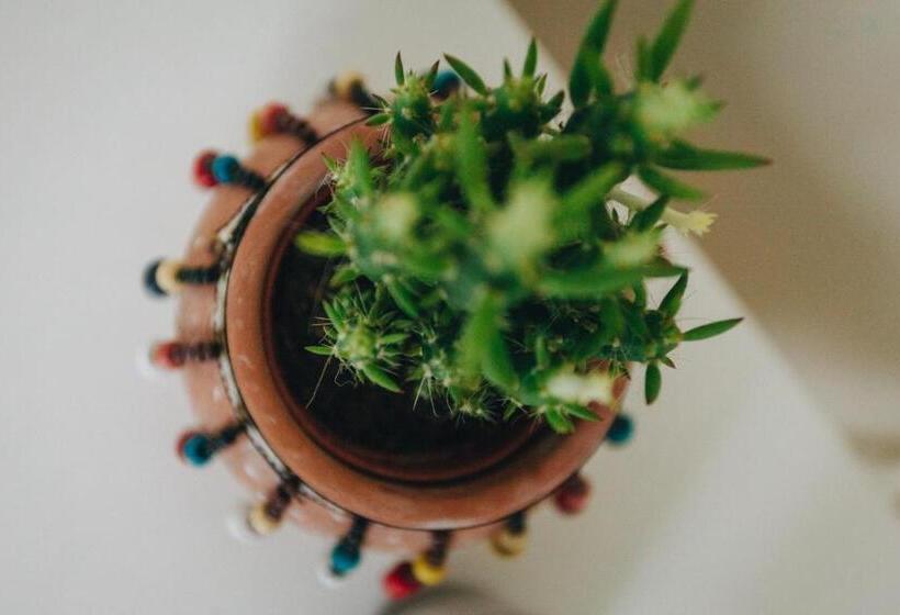 پانسیون House365