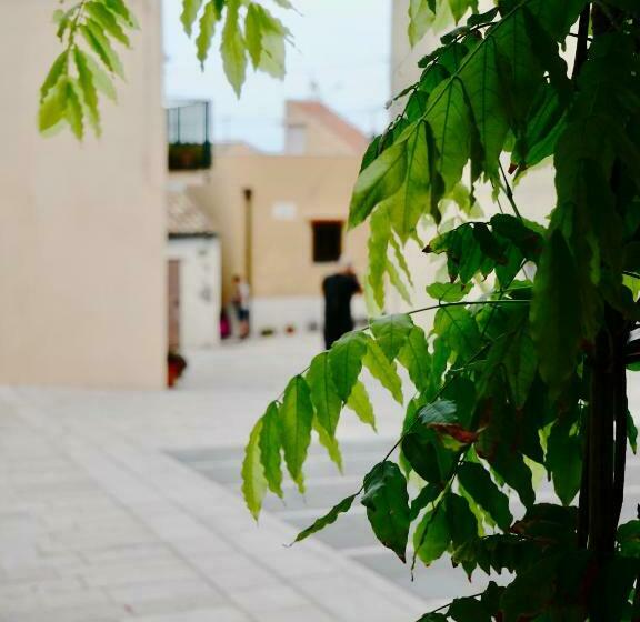 Пансион Il Ciclope   La Camera Sotto Il Faro