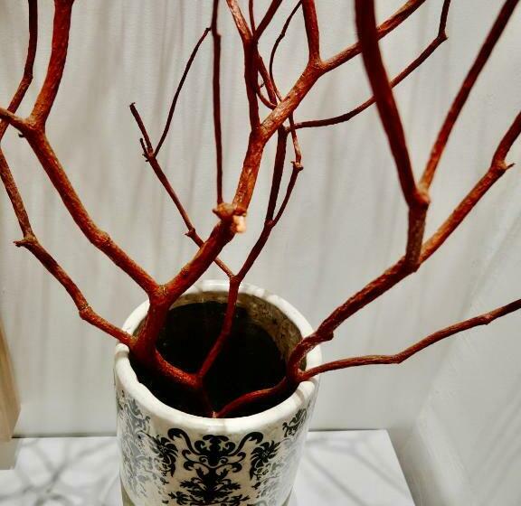 Пансион Il Ciclope   La Camera Sotto Il Faro