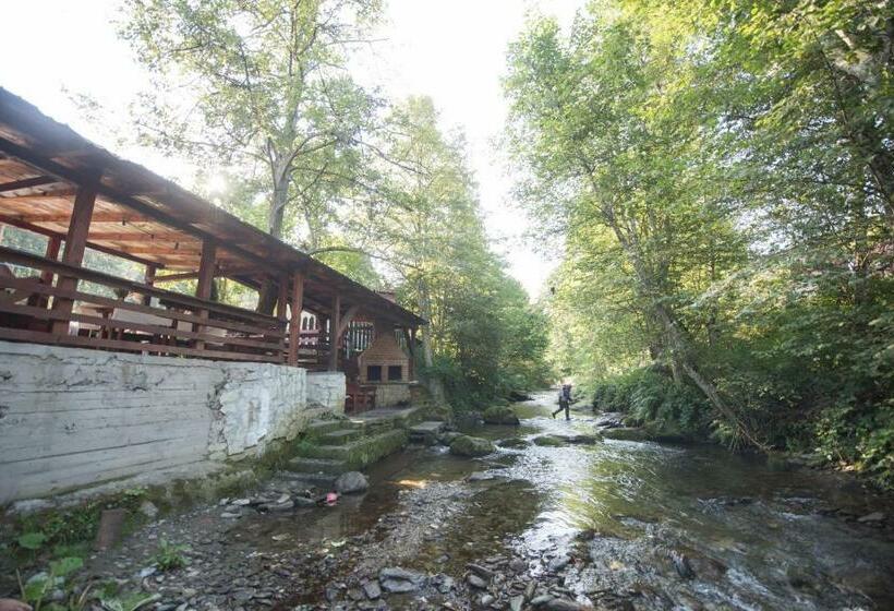 펜션 Popas Balea Rau