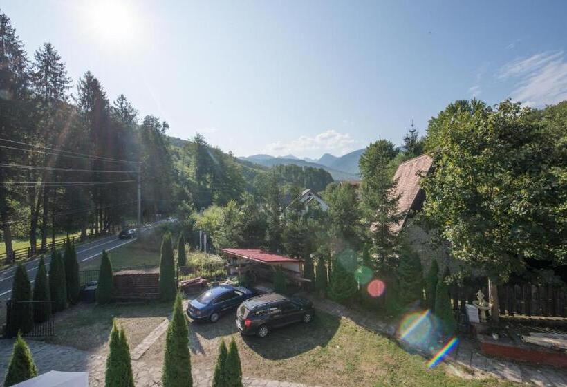 펜션 Popas Balea Rau