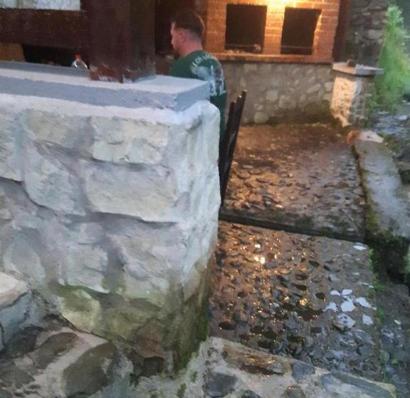 펜션 Popas Balea Rau