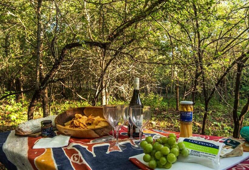 بنسيون Thornforest Luxury Bush Lodge