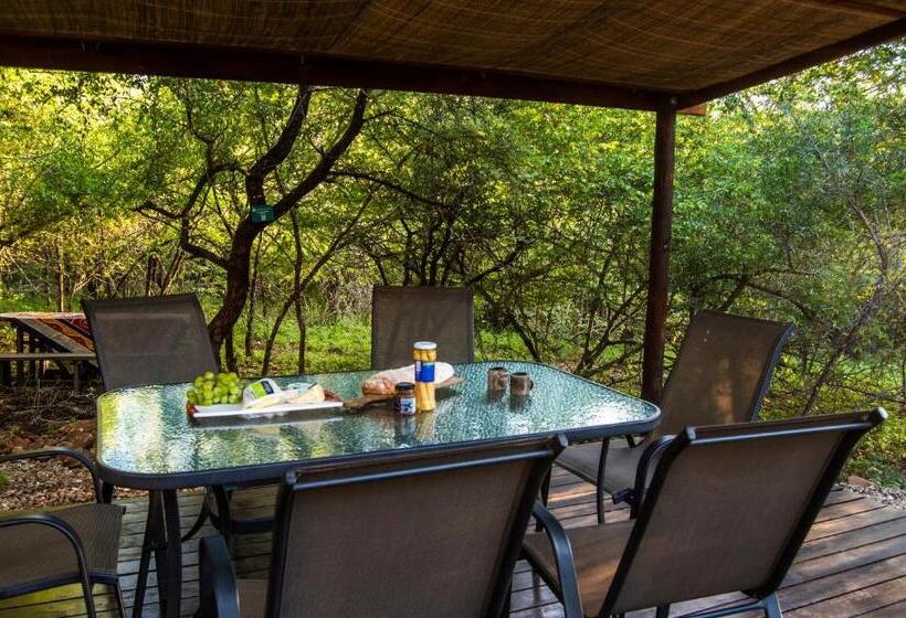 بنسيون Thornforest Luxury Bush Lodge