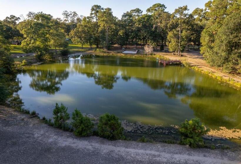 Relaxing Two Bedroom Apartment Or Studio On 13 Beautiful Wooded Acres In A Quiet Neighborhood