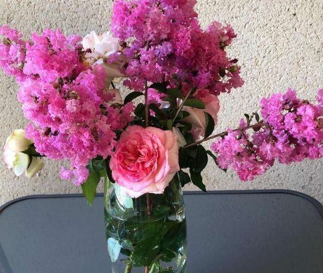 Saint Dénis Appartement 1