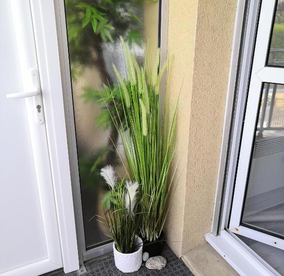 Ty Avel Studios 110 Et 111