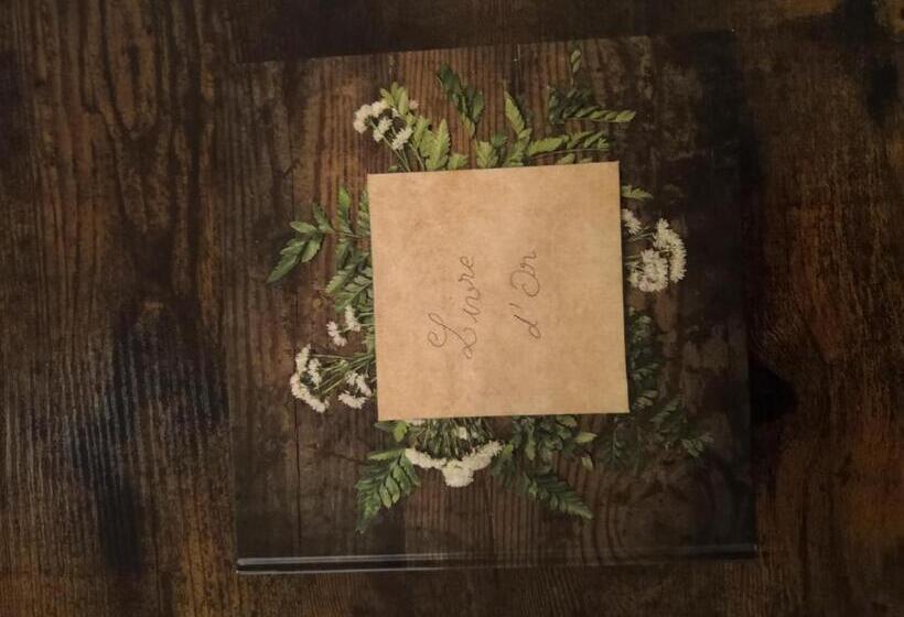 Ty Avel Studios 110 Et 111