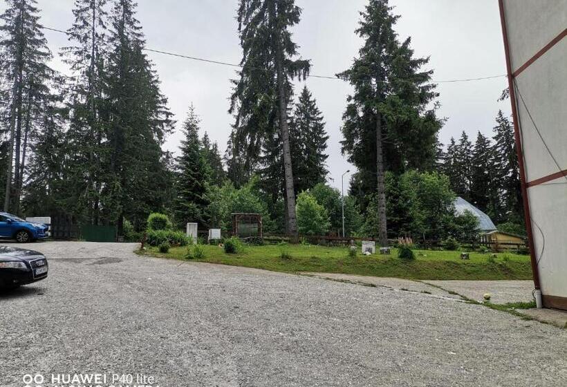 Antonia, Apartament Predeal