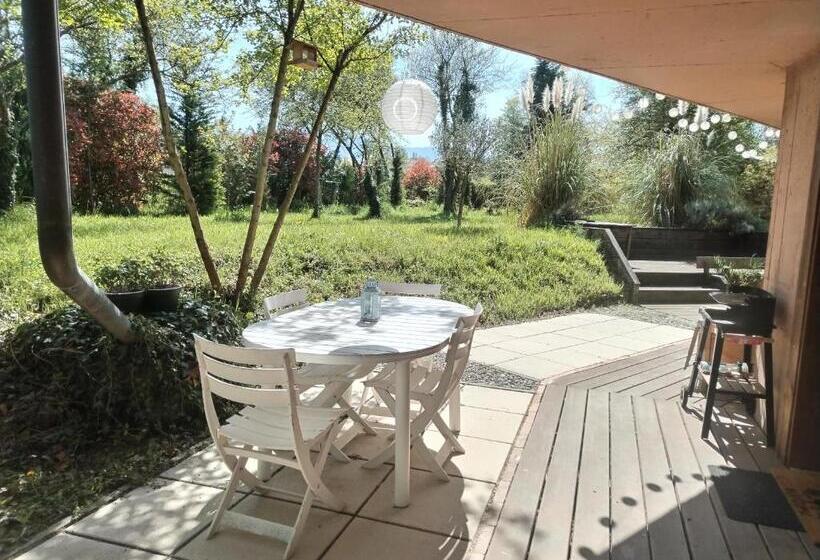 Le Nid Du Chat Noir Maison Alvéole Bed And Books