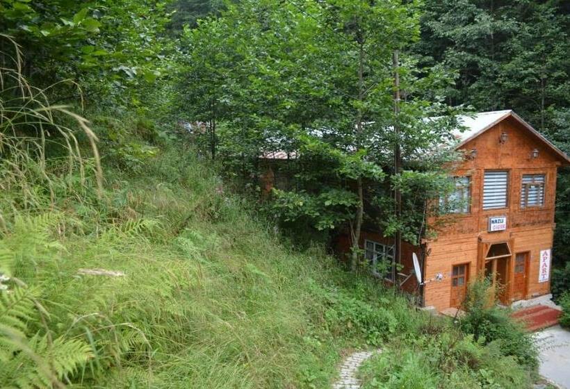 Ayder Nazlı çiçek Apart