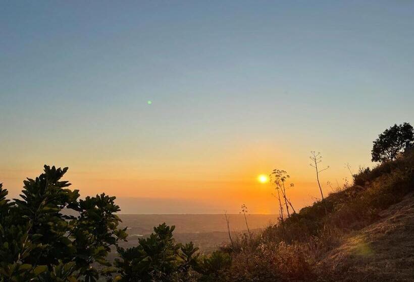 ベッドアンドブレックファースト Apartment Bruno