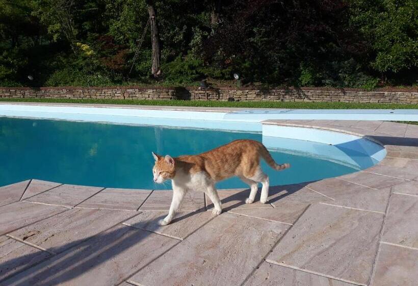 مبيت وإفطار La Giorgetta