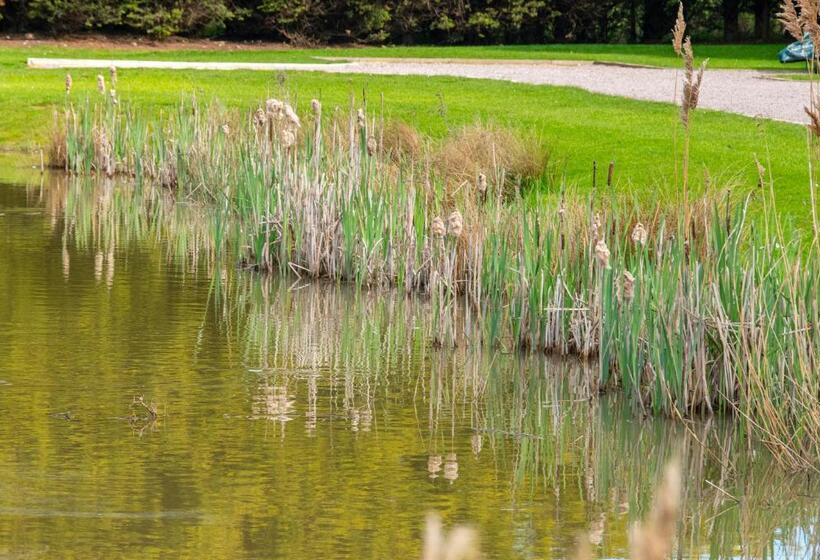 Birchwood In Skegness