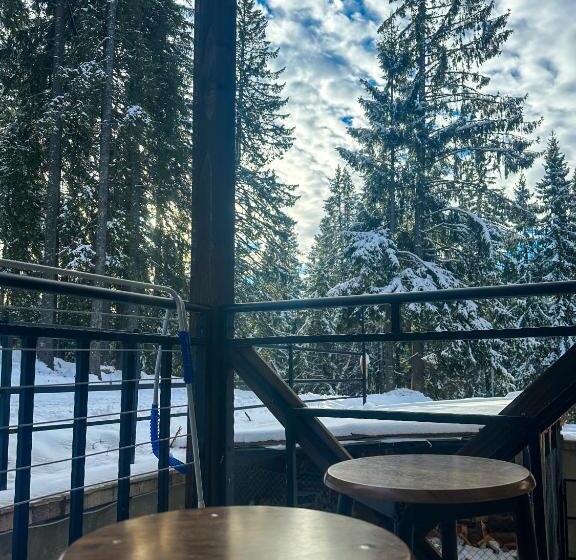 Castle Romance   Pamporovo