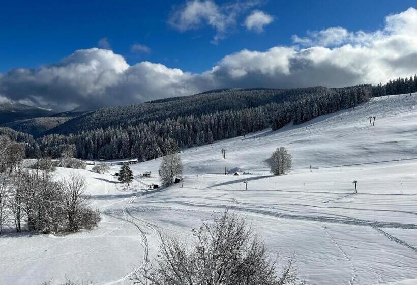 Hillhome Apartment & Sauna