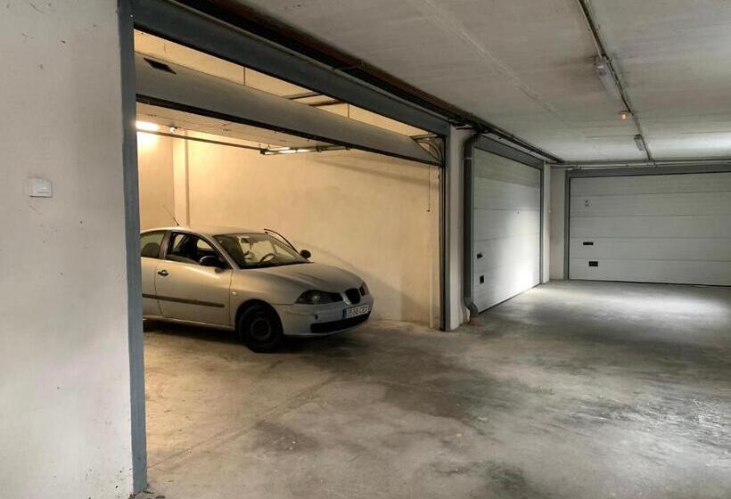 Hondargane, En Las Playas De Laga Y Laida