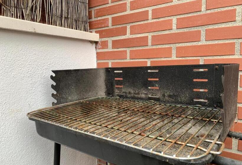 Hondargane, En Las Playas De Laga Y Laida