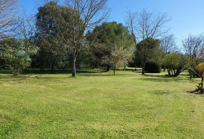 La Maison Des Grands Bambous   L Angoumois L Aunis La Saintonge La Boutonne