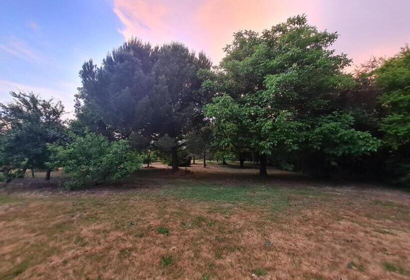 La Maison Des Grands Bambous   L Angoumois L Aunis La Saintonge La Boutonne