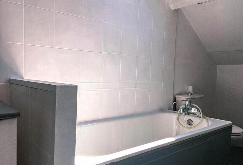 Le Chaudron D Or   41m2   Hyper Centre   Mezzanine   Clim   Wifi Hd