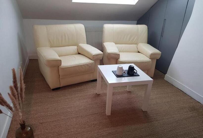 Le Chaudron D Or   41m2   Hyper Centre   Mezzanine   Clim   Wifi Hd