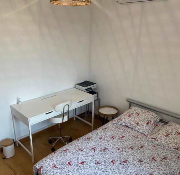 Maison Lyon 8 Jardin Parking Studio Indépendant Sur Demande