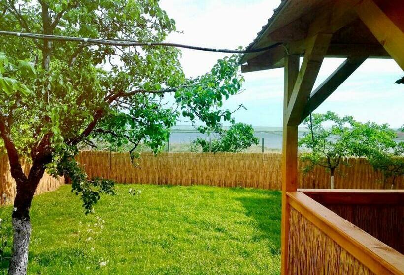 펜션 Casa Batranului Pescar   Old Fisherman S House