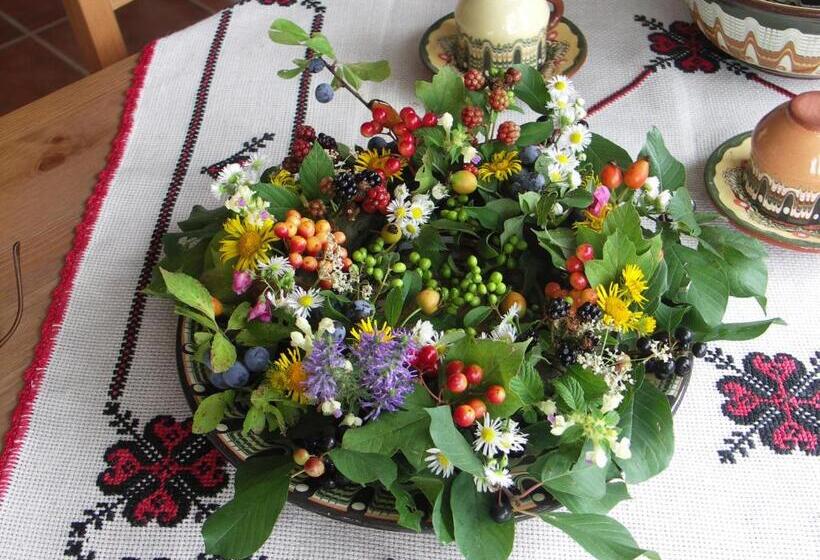 Пансион Casuta Din Lunca