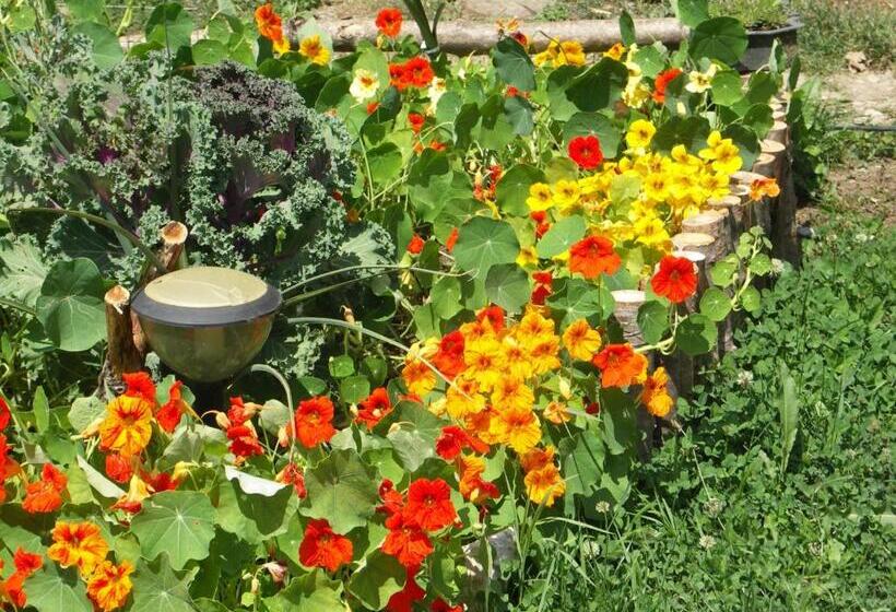 Пансион Casuta Din Lunca