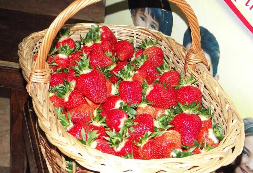 Пансион Casuta Din Lunca