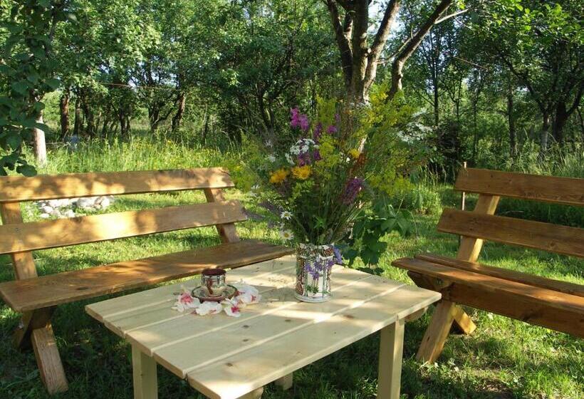 Пансион Casuta Din Lunca