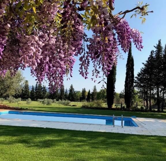 بنسيون Four De Cony