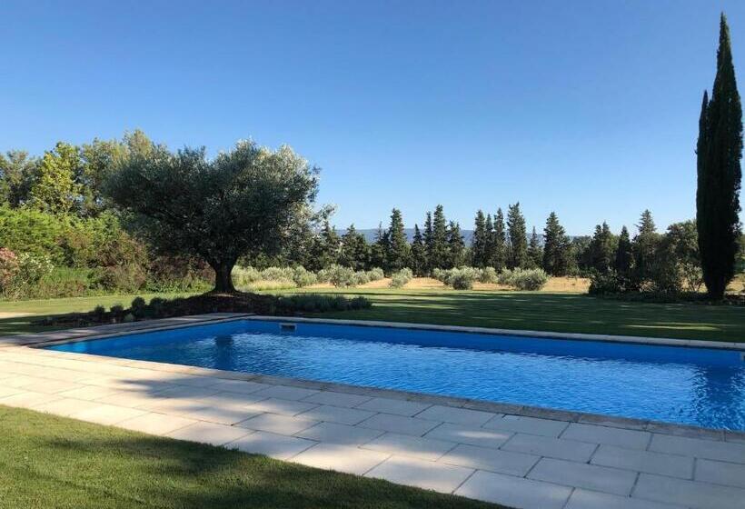 بنسيون Four De Cony