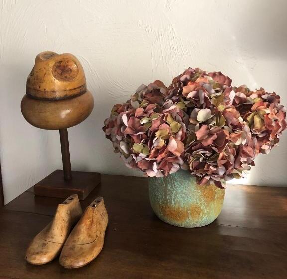 بنسيون Four De Cony