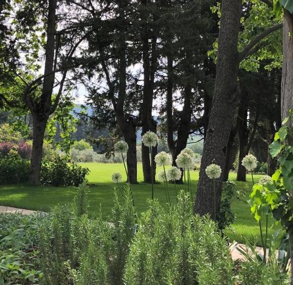 بنسيون Four De Cony