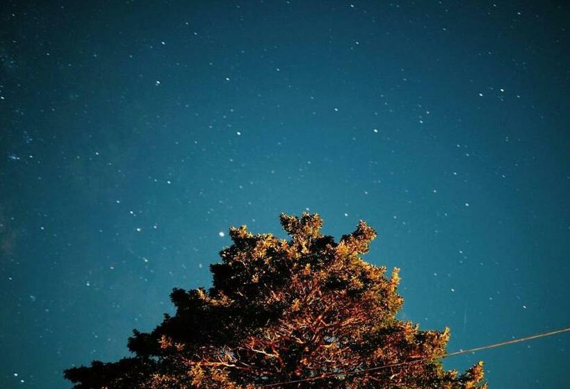 بنسيون Guesthouse Boro Ya