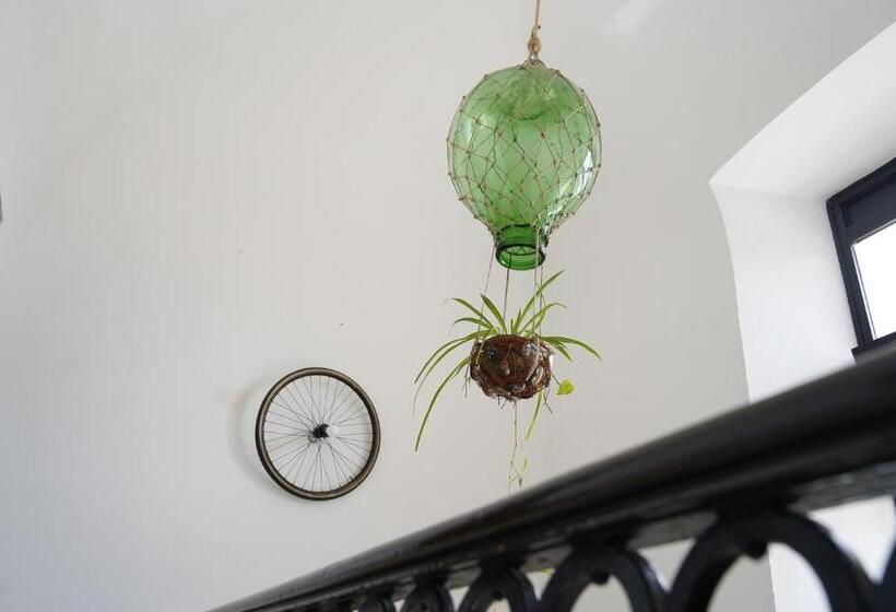 פנסיון House Sud Est