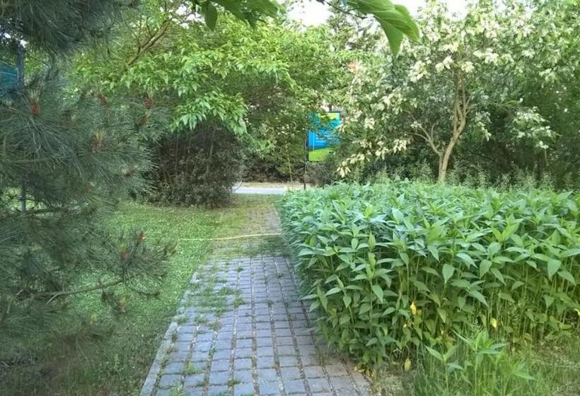 پانسیون Rose Canine B&b