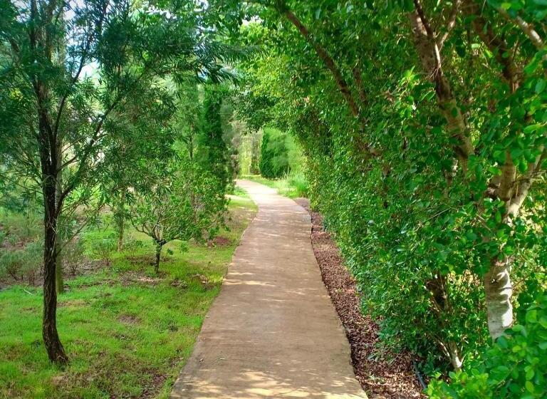 リゾートホテル The Birder S Lodge Khao Yai