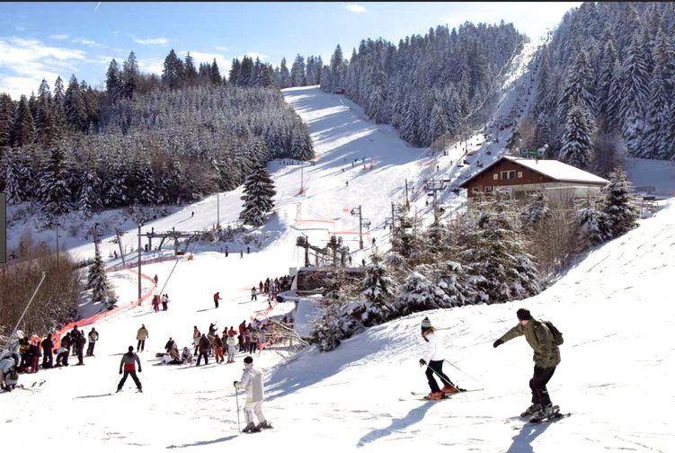 Au Chalet Des Oiseaux Migrateurs