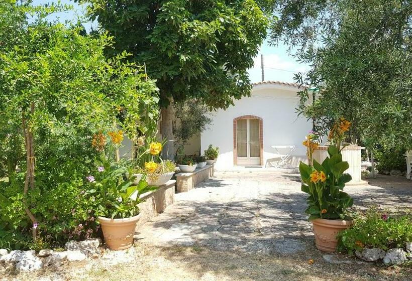 住宿加早餐  Elianti