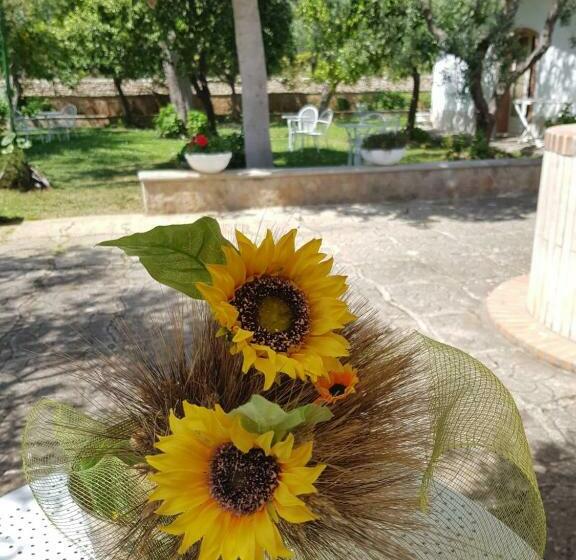 住宿加早餐  Elianti