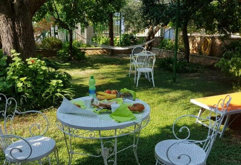 住宿加早餐  Elianti