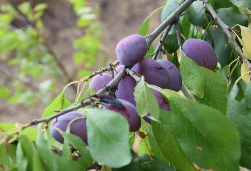 مبيت وإفطار Al Chiaro Di Luna