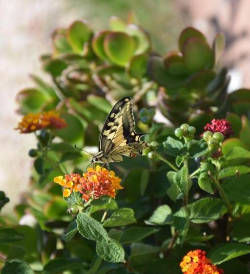 مبيت وإفطار Al Chiaro Di Luna
