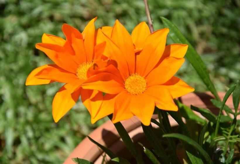 مبيت وإفطار Al Chiaro Di Luna