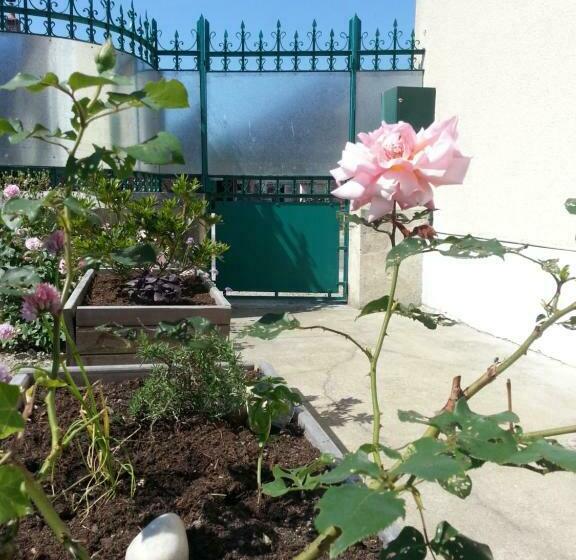 Bed and Breakfast Campagn Arts