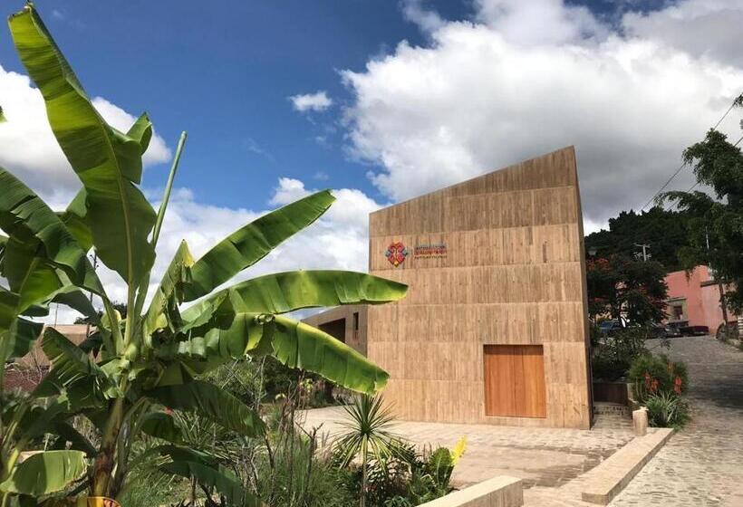 مبيت وإفطار Casa Teotitlán