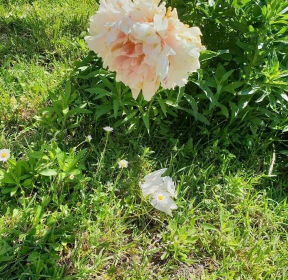 민박 Chambre D Hôtes Esterelle